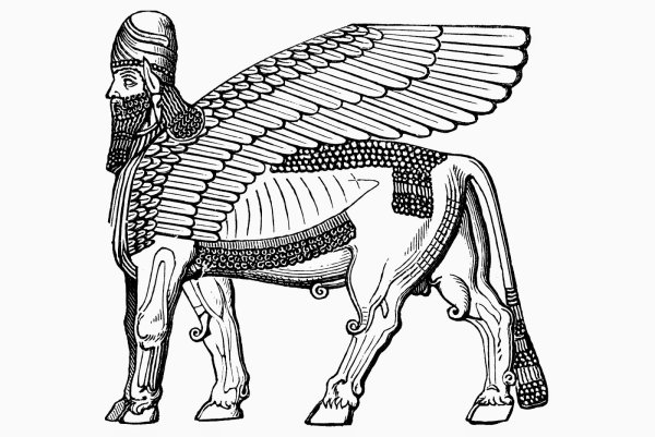 Шеду и ламассу