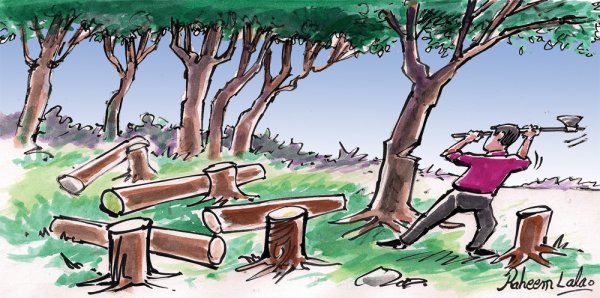 Рисование вырубки лесов