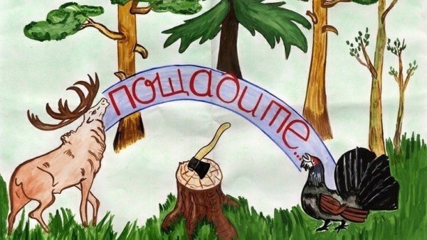 Вырубка лесов для детей