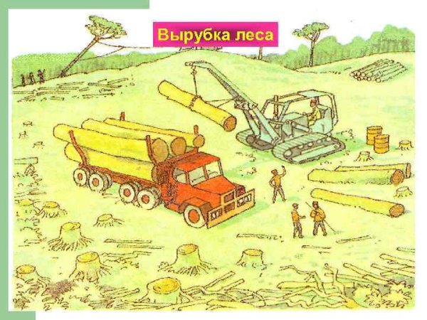 Рисование вырубки лесов