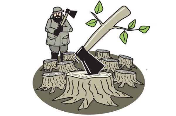 Рисунок вырубки леса