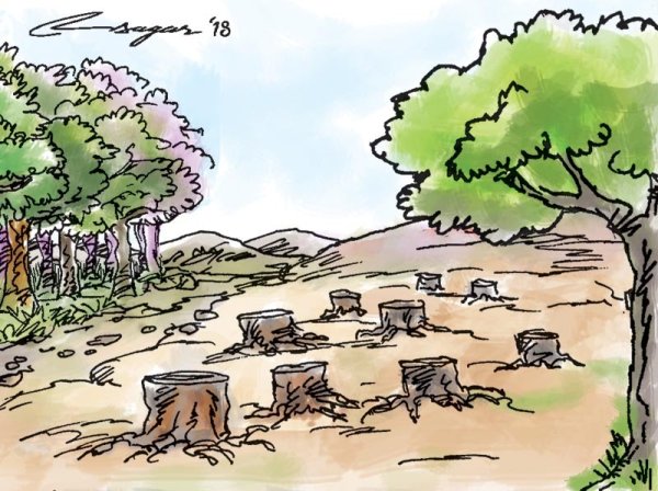 Конкурс рисунков про лес