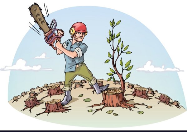Вырубка лесов для детей