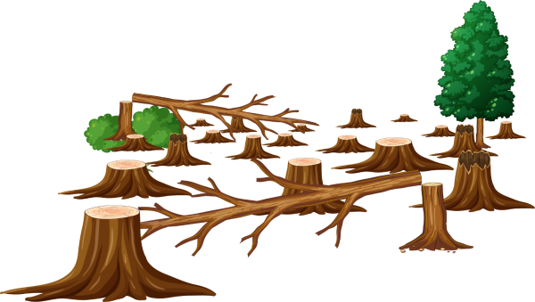 Вырубка леса для детей