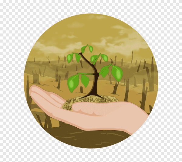 Рисунки вырубленного леса