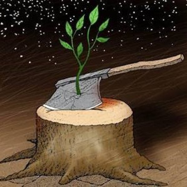 Экологические преступления