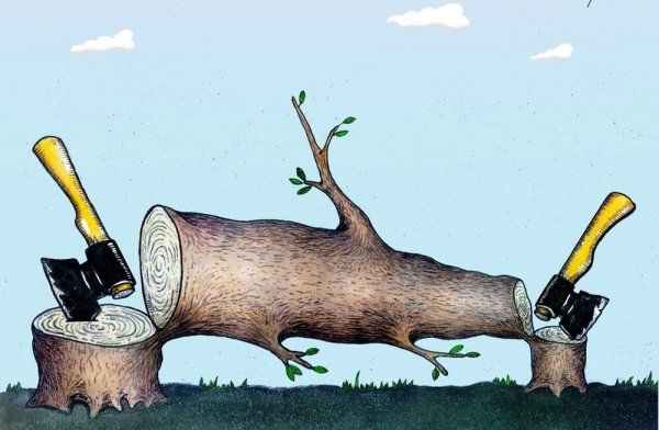 Проблема исчезновения тропических лесов рисунок символ