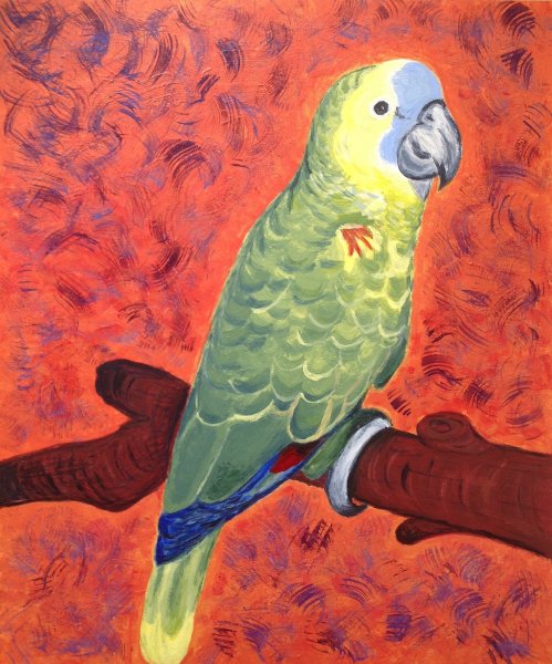 Коллер попугай