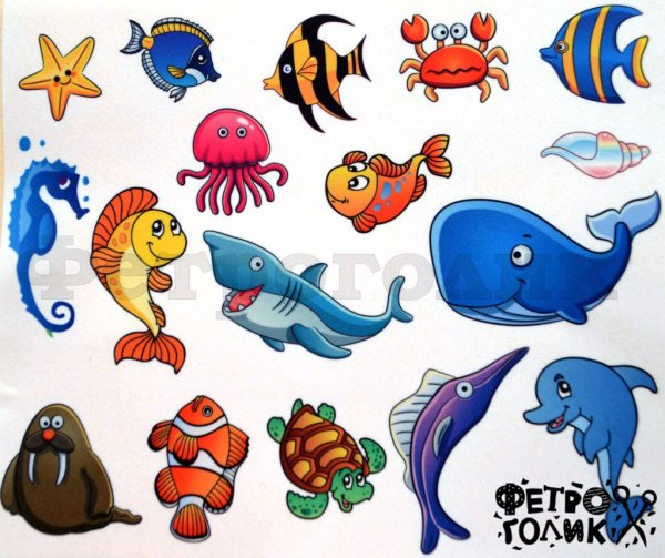 Морские животные для детей