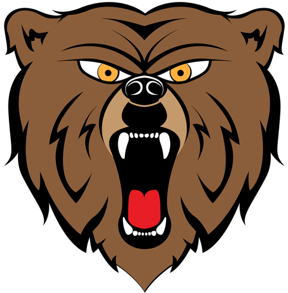 Голова медведя