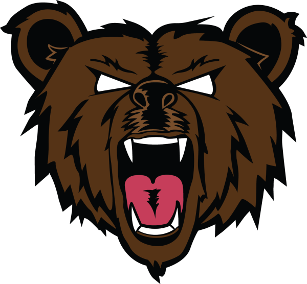 Рисование морды медведя