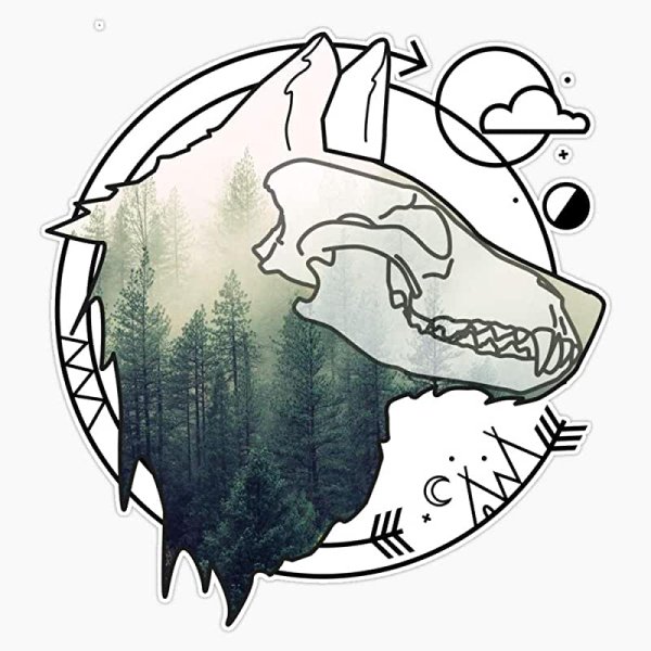 Череп животного референс