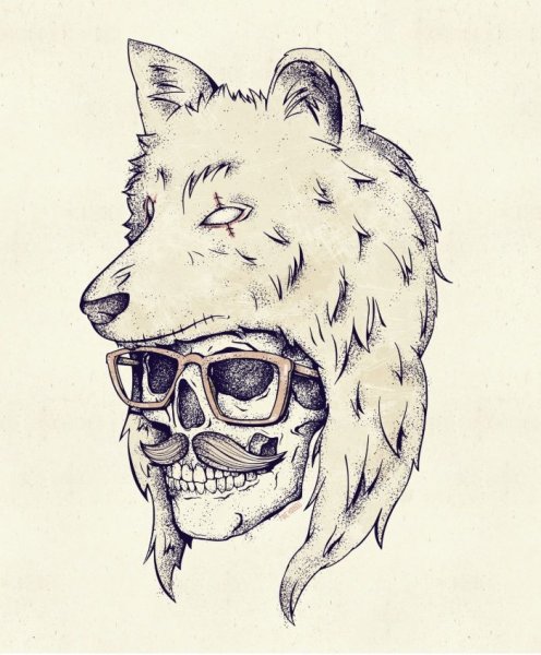 Скалл дог референс