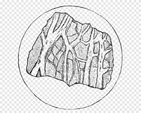 Полезные ископаемые песок и глина