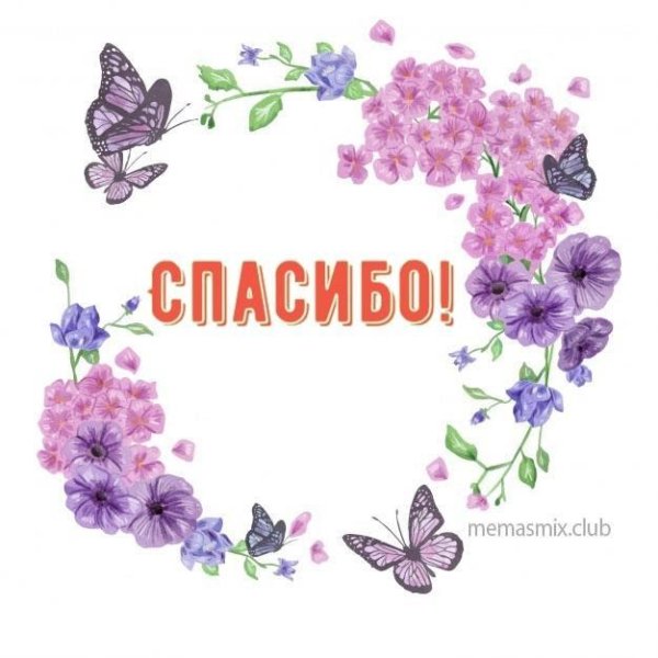 Маленькие картинки спасибо