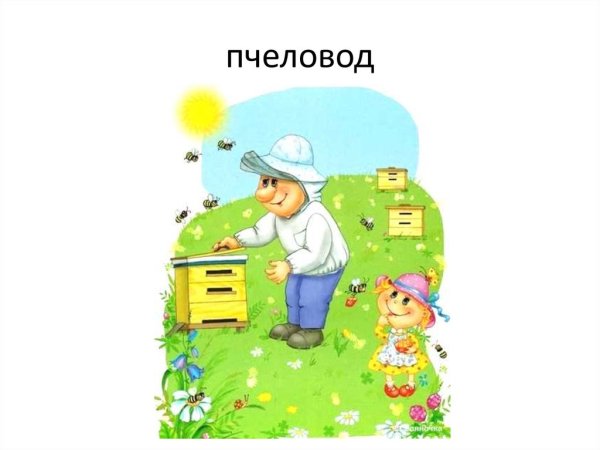 Профессия пчеловод