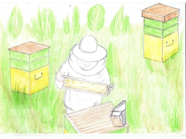 Дети на пасеке