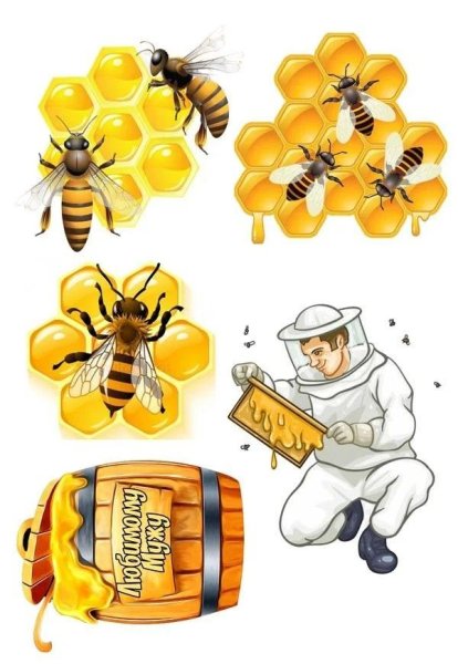 Пчеловод для детей
