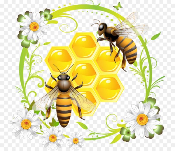 Пасечник иллюстрация