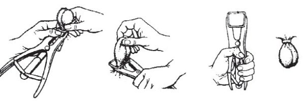 Уильям де Мариско