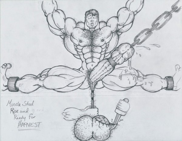 Кошки в Европе в средние века