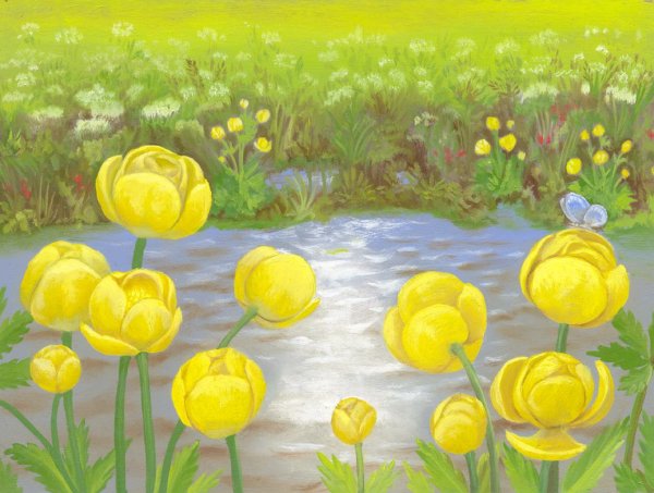 Легенда о цветке Италмас