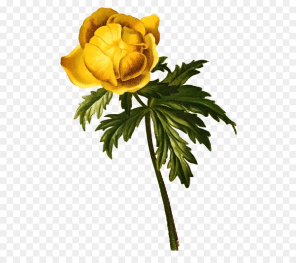 Италмас символ Удмуртии