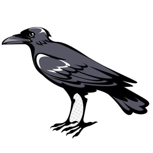 Ворона рисунок