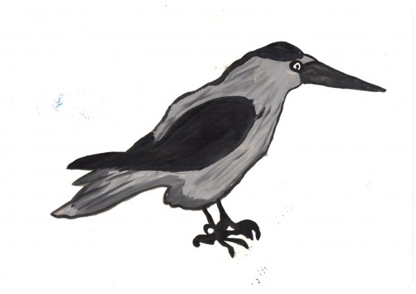 Ворона рисунок для детей