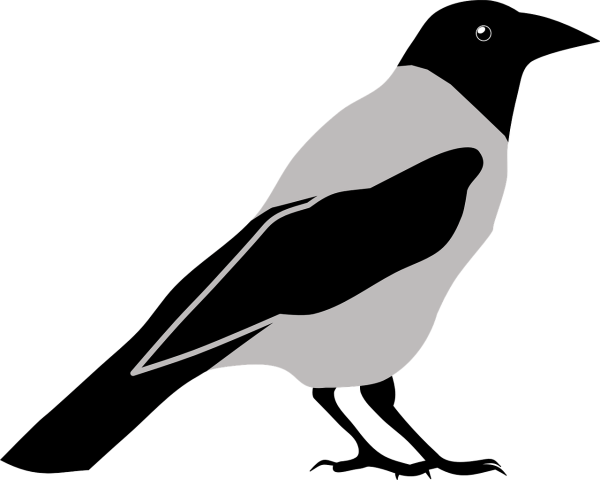Ворона рисунок