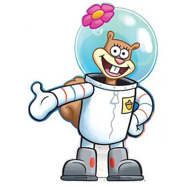 Белка Сэнди чикс