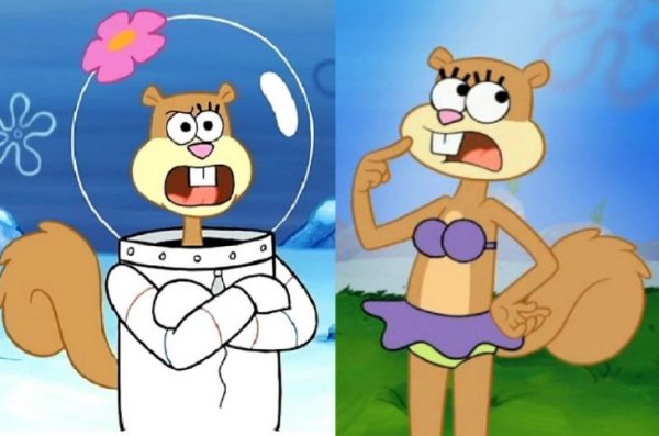 Сэнди чикс 2009