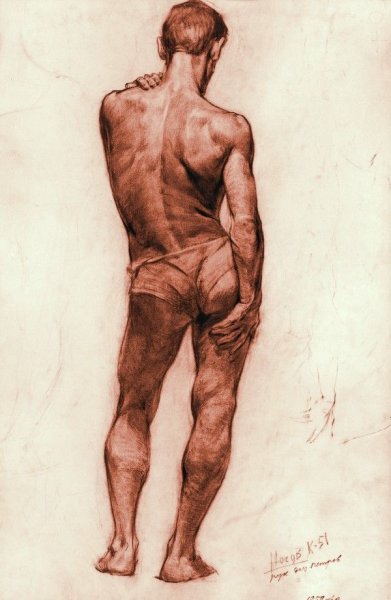 Академический рисунок Строгановка натура