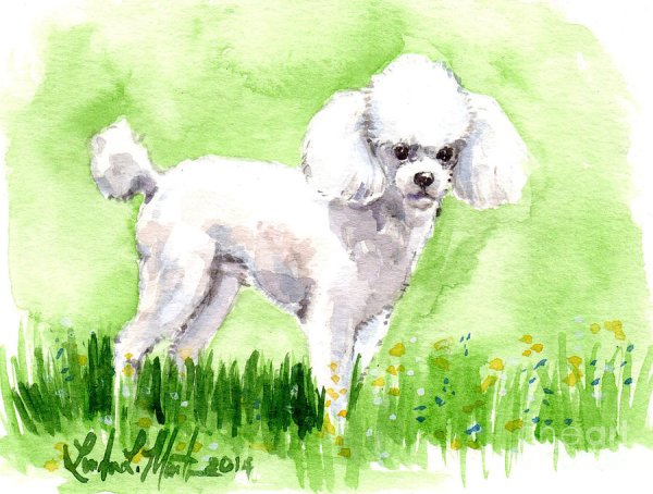 Белый пудель Куприна