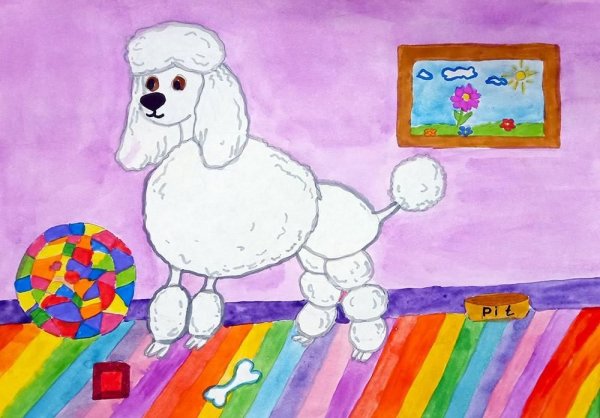 Белый пудель Куприн рисовать