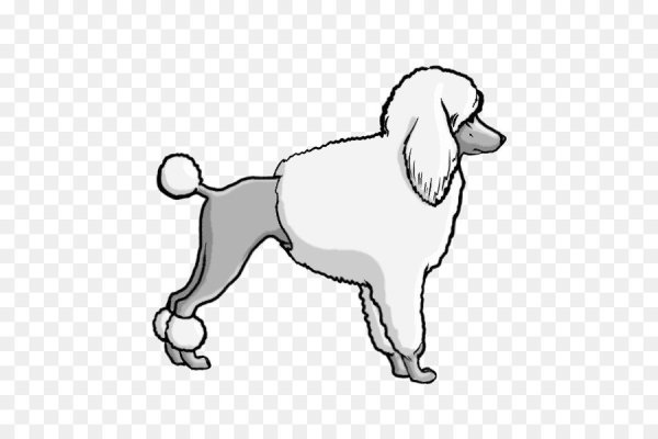 Белый пудель Куприн рисунок