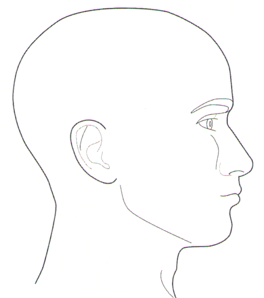 Голова человека сбоку