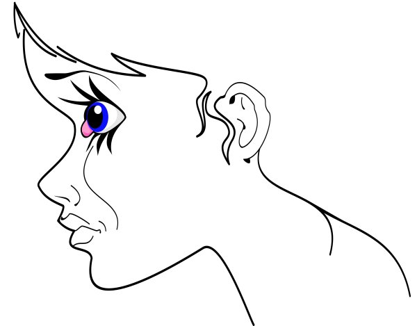 Профиль лица для срисовки