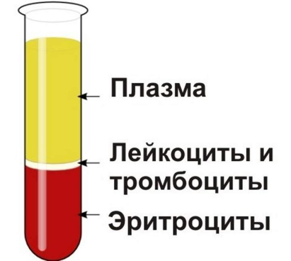 Состав плазмы и сыворотки крови