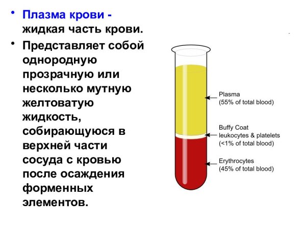 Большую часть массы плазмы крови составляет