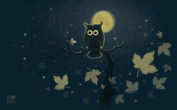 Сова на фоне ночного неба