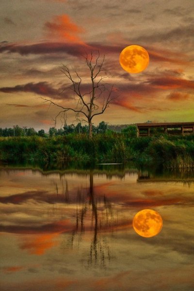 Картина Луна