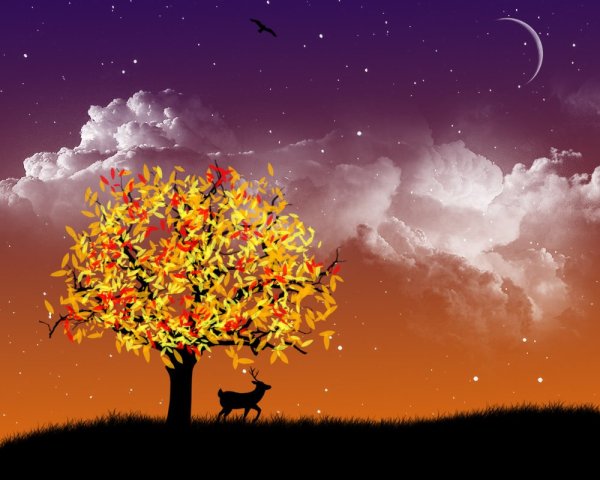 Красивая осенняя ночь