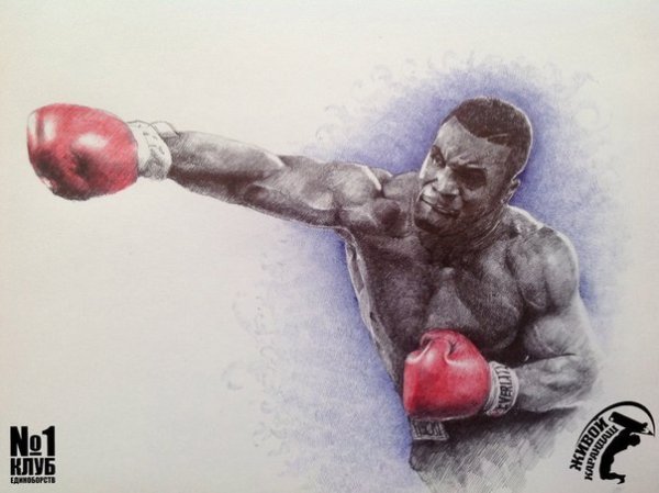 Боксер картина карандашом