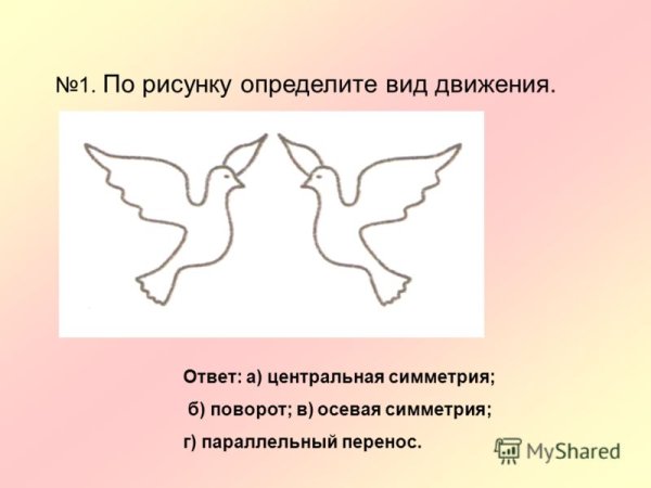 Определите по рисунку вид движения