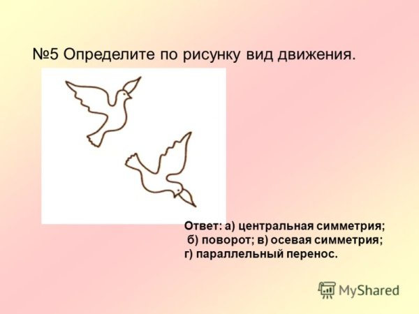Определите по рисунку вид движения голуби