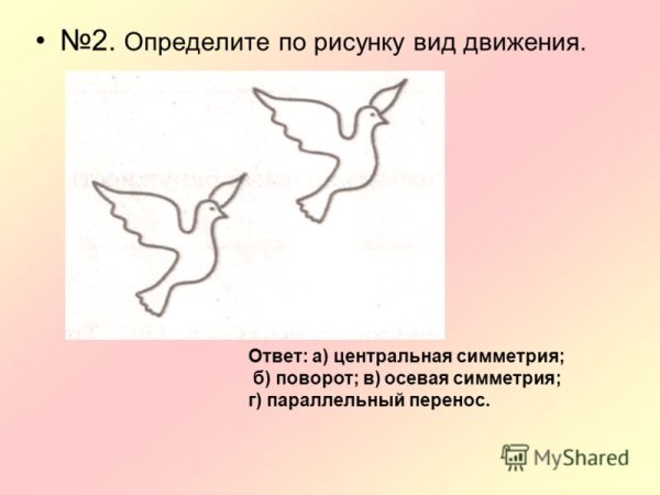 Определите по рисунку вид движения