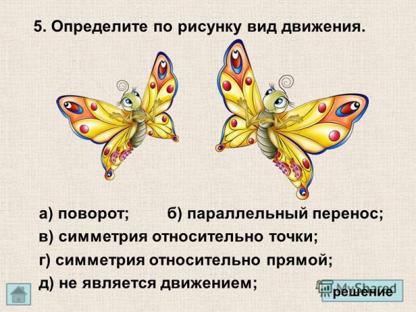 Определите по рисунку вид движения