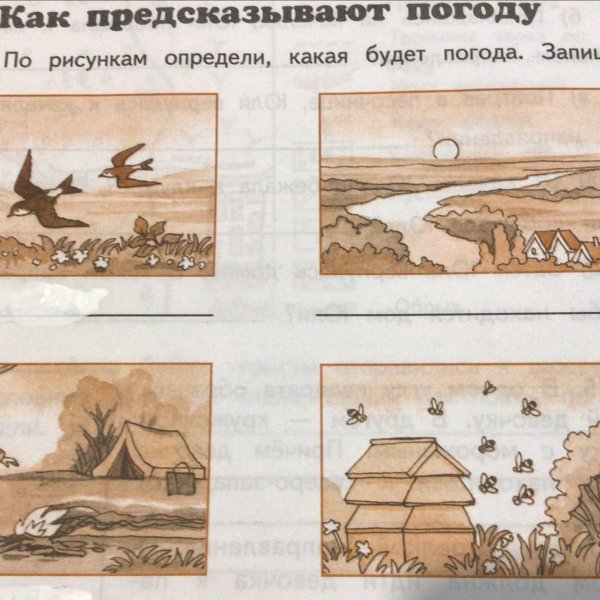 Определи по рисунку