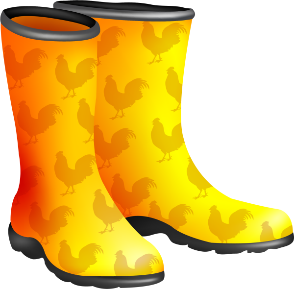 Сапоги на прозрачном фоне